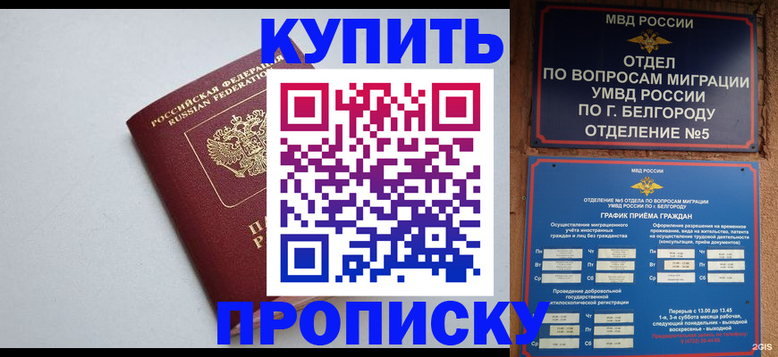 прописка регистрация в Курской области